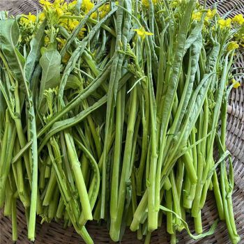 新鲜柳叶菜花 3斤 广西桂林农家特色蔬菜当天采摘菜心绿菜苔 1斤