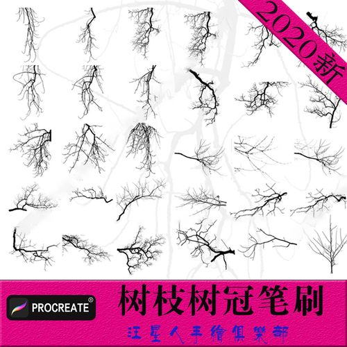 procreate笔刷真实树枝树冠树木树林树干深林插画ipad绘画手绘