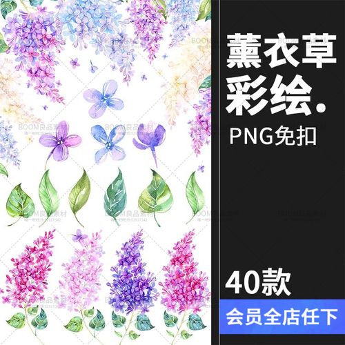 紫色唯美梦幻手绘水彩薰衣草植物花叶子背景图案png免抠装饰素材