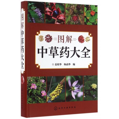 图解中草药大全 中医入门中草药大全书籍药材植物彩图中药大全 中医