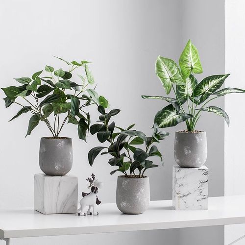 北欧仿真绿植龟背叶假花装饰小盆栽假盆景植物客厅办公室桌面摆件