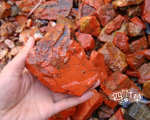 2公斤价  天然红碧玉原石   e南非鸡血红碧玉原料毛料长约10厘米