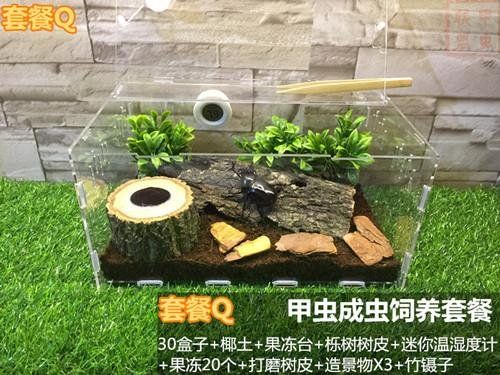 爬虫饲养箱亚克力饲养盒蟋蟀蜘蛛饲养箱面包虫养殖盒蜗牛饲养盒
