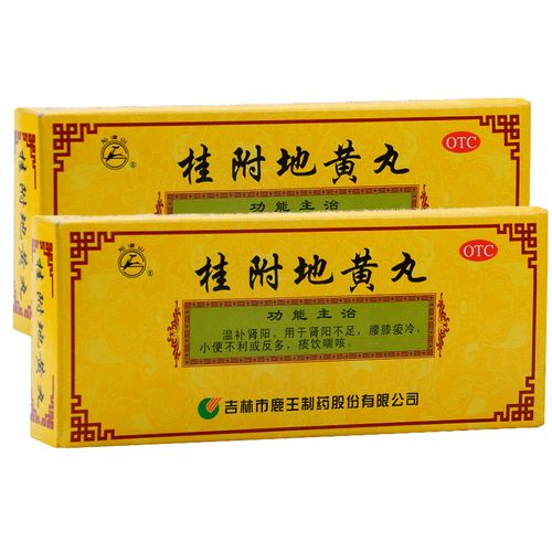 2盒】龙潭山桂附地黄丸10丸 温补肾阳 腰膝痠冷 小便不利痰饮喘咳