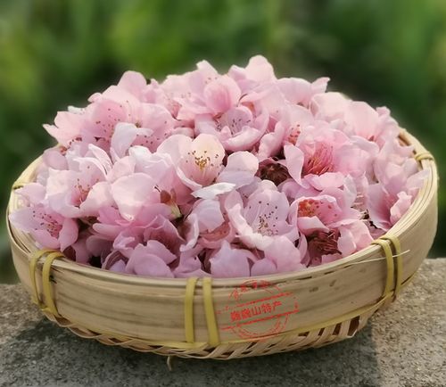 新鲜桃树枝婴儿居搬家乔迁桃木摆件挂件镇宅桃花运现摘鲜桃花瓣