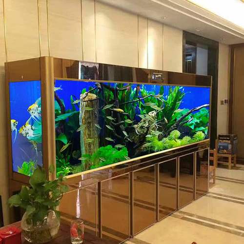 大型生态鱼缸水族箱客厅底过滤免换水超白玻璃龙鱼缸1.523米