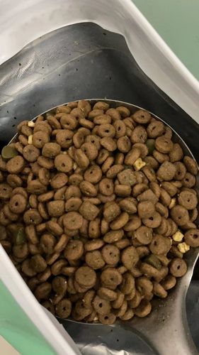 试吃装】雷米高营养五拼粮哈巴小狗博美贵宾泰迪幼犬狗粮50g*5包