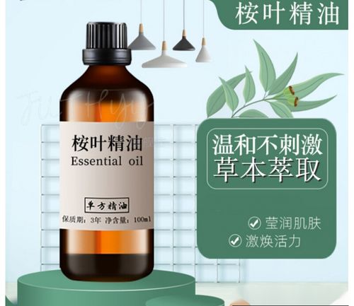 桉叶精油100ml 尤加利精油桉树油单方精油香薰净化空气桉树精油 10ml