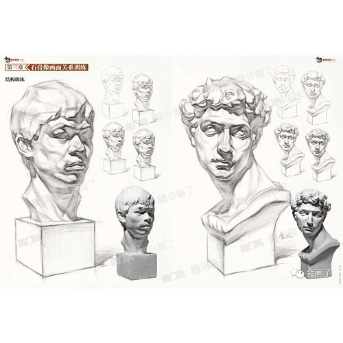 金榜石膏头像2020敲门砖贾杰美术初学素描石膏像入门零基础素描石膏像