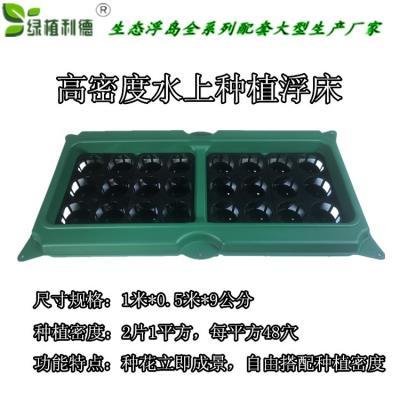 水上 种植 浮床 空心菜 水上种植水稻浮床 浮床种植泡沫无土13
