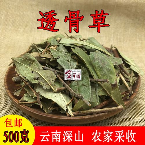 云南中药材透骨草 大透骨草 新鲜干货农家自挖500克包邮