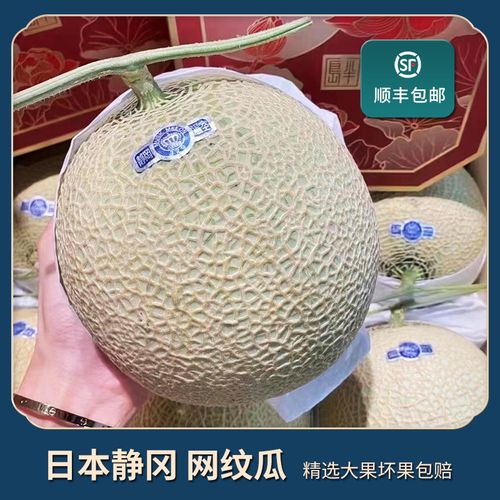 日本品种静冈网纹瓜当季新鲜水果6个装甜哈蜜瓜玫珑蜜瓜顺丰包邮