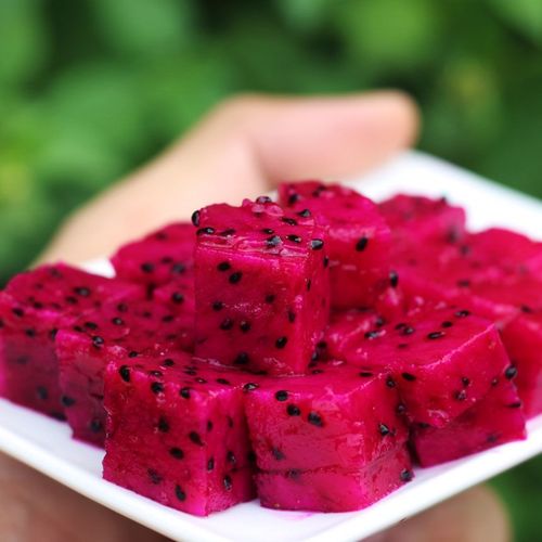 【年货精选】金都一号蜜宝红心火龙果红肉新鲜应季热带水果整箱批发大