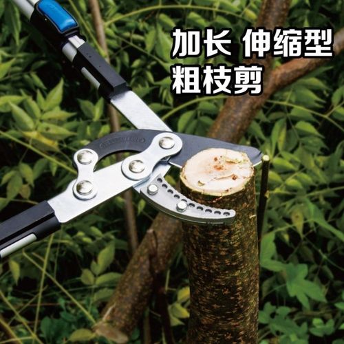 高枝剪伸缩粗枝剪果树树枝修枝剪强力省力大力剪园艺园林加大剪刀
