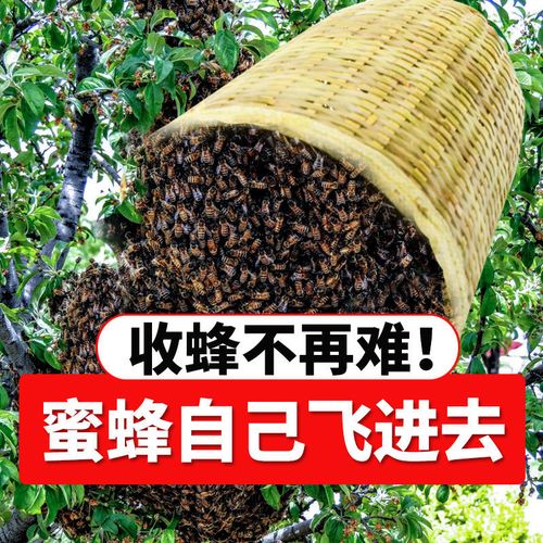 收蜂笼招蜂笼竹制野外捕蜂器诱蜂养蜂蜜蜂工具抓土蜂中蜂笼子新款