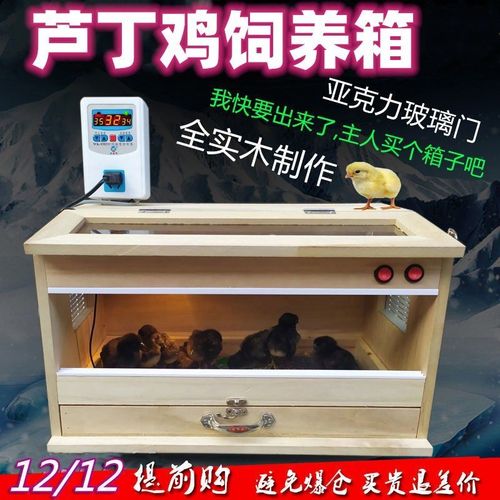 芦丁鸡饲养箱控温育雏箱木制养殖雏鸡鹌鹑芦丁鸡专用笼保温恒温箱