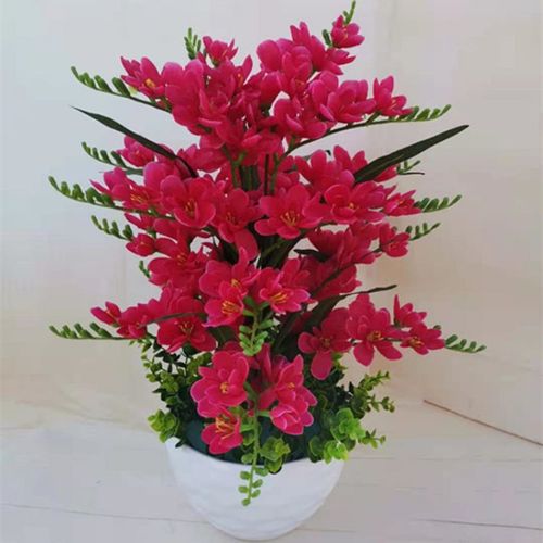 亚克力塑料花盆香雪兰玫红色