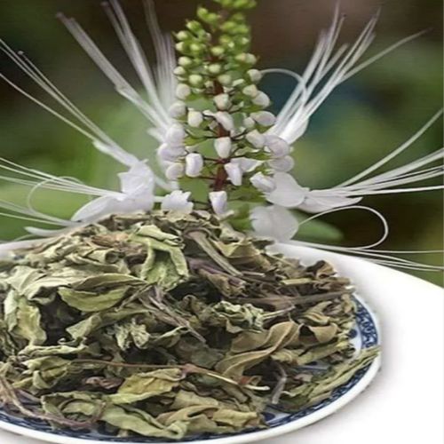 猫须草野生500g云南西双版纳化石草肾茶猫须草中药材正品