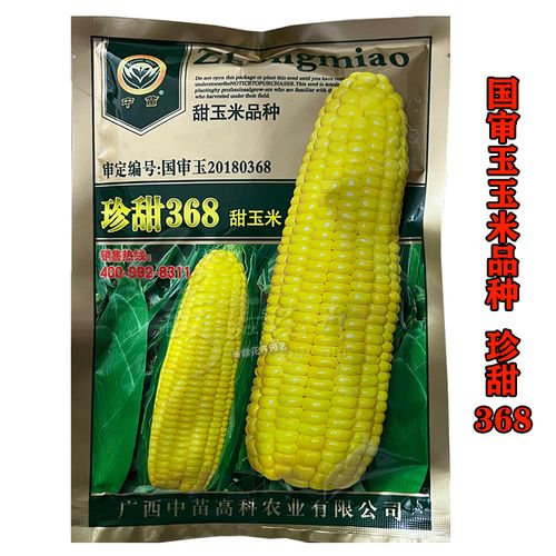 珍甜368甜玉米种子国审玉鲜食甜玉米种籽早熟玉米春季秋季种植种