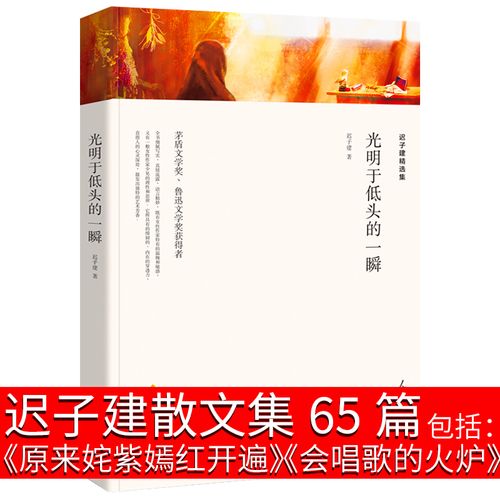 迟子建散文集65篇 迟子建的书 迟子建散文精选集中学生读本作品 原来