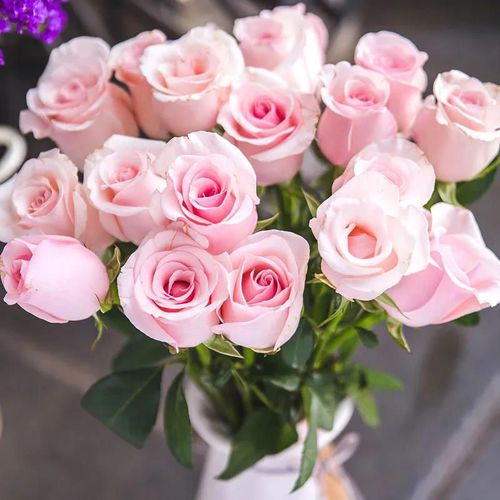 真花玫瑰花鲜花直批养花插花花束玫瑰花送女朋友新鲜玫瑰