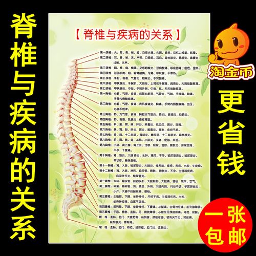 人体脊椎结构与疾病的关系讲解图 医院诊所墙壁挂图挂画海报贴图