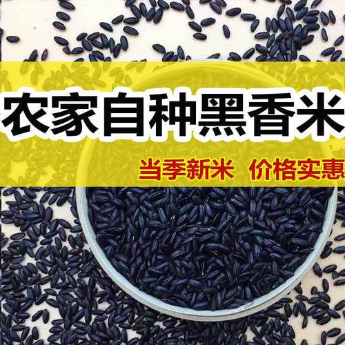 东北农家黑香米无染色新米黑米黑香米五谷杂粮500g煮粥5斤