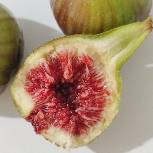 无花果 格莱斯早黄多品种 甜度高浆果先生阳台露台花园庭院果树苗