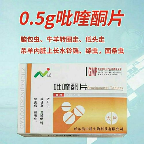中精兽药吡喹酮片一盒驱蠕虫脑包虫血吸虫绦虫面条虫囊尾蚴转圈走