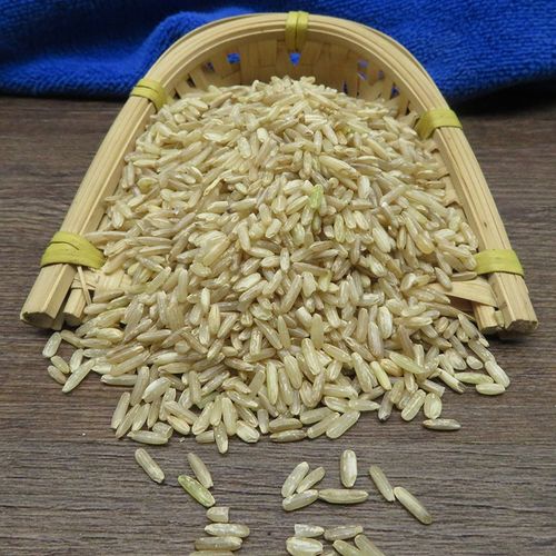 【优选】粳米散装5斤装 筛选优质袋装农家自产中药材 图片色