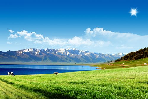 新疆喀纳斯天山天池赛里木湖伊犁草原风光风景海报制作装饰画4235