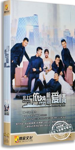 正版电视剧 北上广依然相信爱情10dvd 经济版 朱亚文 陈妍希 张铎