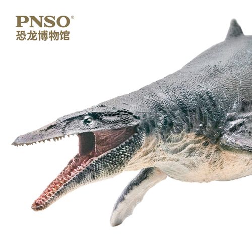 pnso三角龙多利马门溪龙尔玛沧龙罗恩阿马加龙卢西奥恐龙博物馆1:35