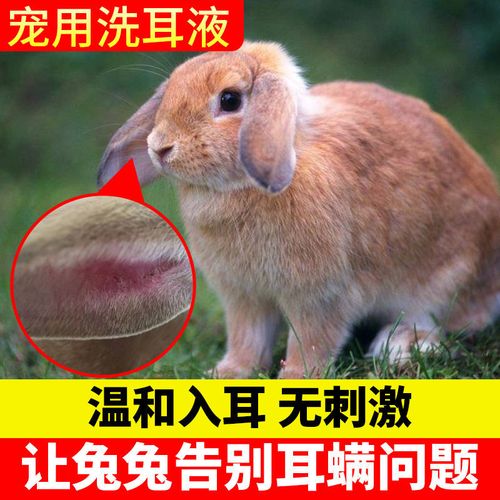 【兔子耳螨专用】兔子耳螨药兔用滴耳液耳朵瘙痒耳道清洁耳部快速