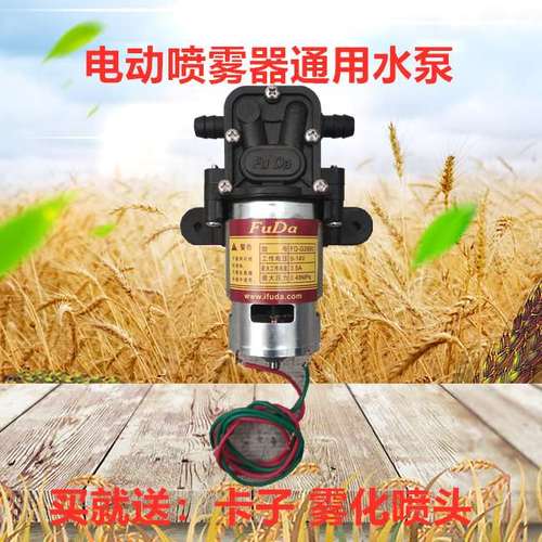 农用电动喷雾器高压水泵大功率12v高压智能型电动喷雾器电机水泵