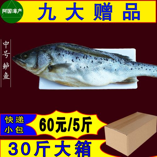 超实惠中号海鲈鱼5斤新货新鲜腌制七星鲈子鱼赛花鲈开背咸鲈鱼