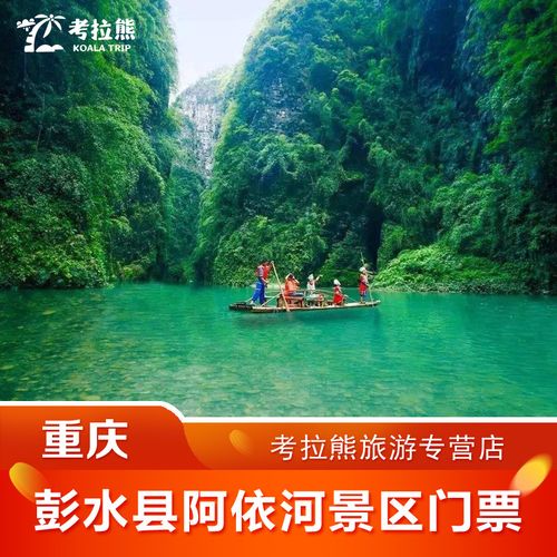重庆阿依河风景区门票 自动出票 快速入园 一日票 门票 成人票