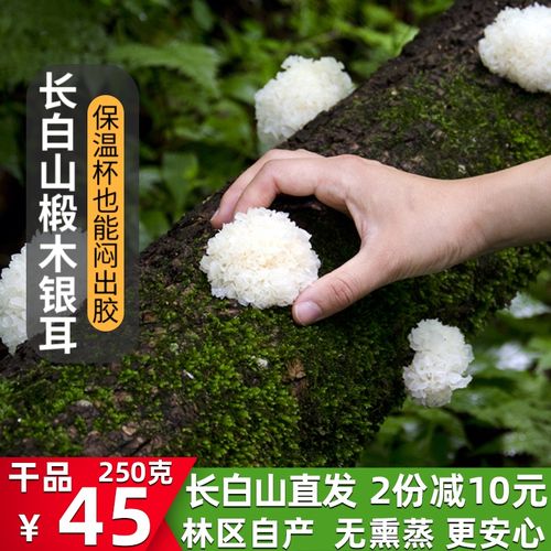 长白山椴木银耳椴木雪耳白木耳250克糯耳出胶丑耳干货无硫非通江