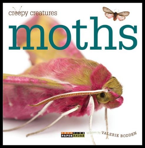【预售】creepy creatures: moths