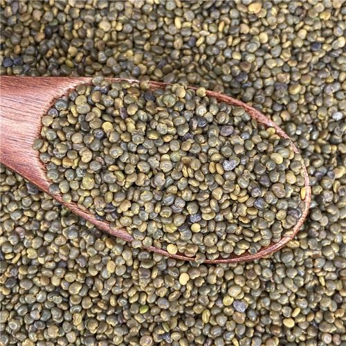 沙苑子中药500g克沙苑子茶沙苑子沙蒺藜潼蒺藜可磨沙苑子粉
