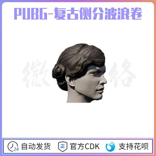 绝地求生pubg复古侧分波浪卷皮肤cdk金羽发型头发大波浪steam吃鸡