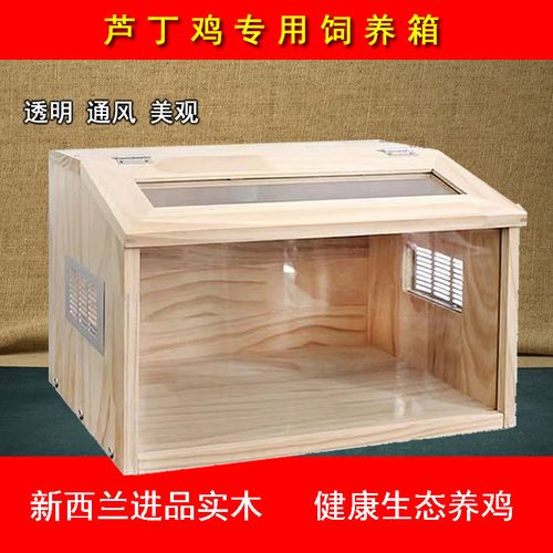芦丁鸡专用笼保温育雏箱实木制柯尔鸭鹌鹑芦丁鸡饲养箱大号养殖笼
