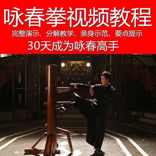 咏春拳教学u盘视频教程全套咏春拳视频咏春拳实战教程咏春拳图解