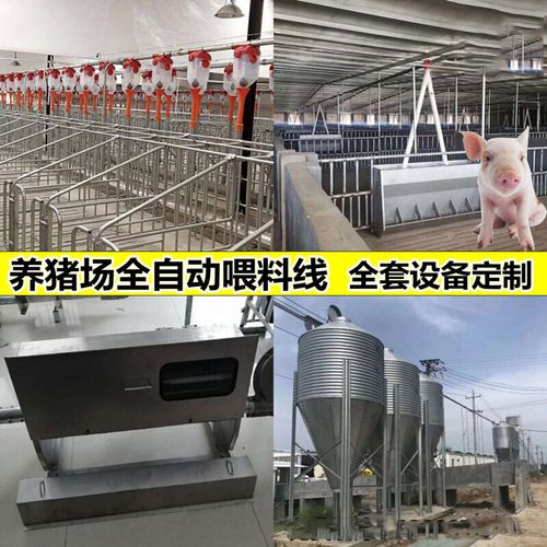 养猪场自动喂料机猪用全自动上料机猪圈养殖料线养猪设备喂料 定制