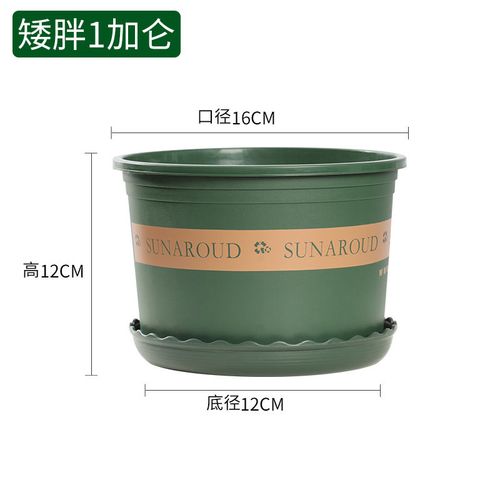 加仑花盆阳台多肉绿萝吊兰月季玫瑰花盆 矮胖1加仑(口径16厘米)5个装