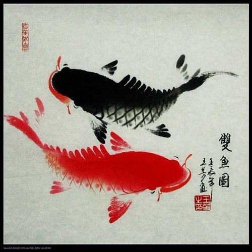 真迹 字画家居装饰画一尺斗方太极鱼 双鱼图 年年有余e146