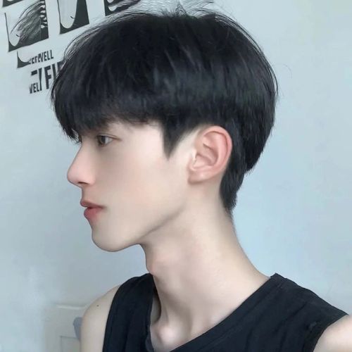 (假发男短发韩版帅气逼真网红学生头自然蓬松短直发时尚男士全头