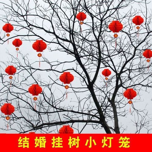 小灯笼挂饰树上结婚红色小灯笼挂件元宵挂树上的小灯笼.户外春节