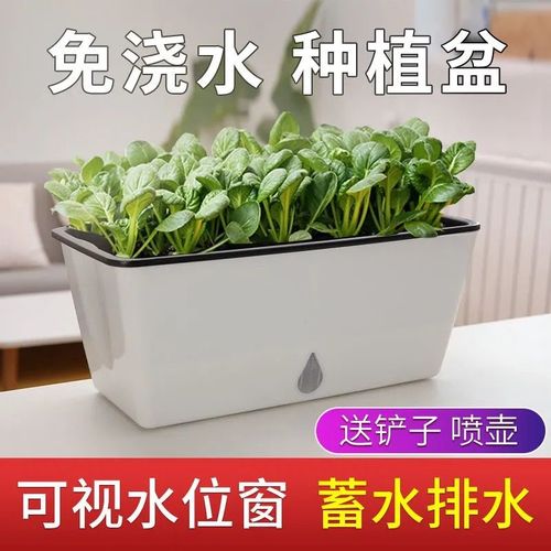 懒人自动吸水花盆种菜神器家庭阳台绿萝盆栽长方形塑料长条盆清仓【4