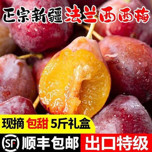 正宗新疆特产法兰西小西梅新鲜水果喀什西梅超甜李子
